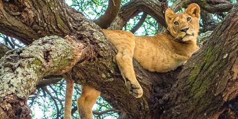 lake manyara national park 042.jpg