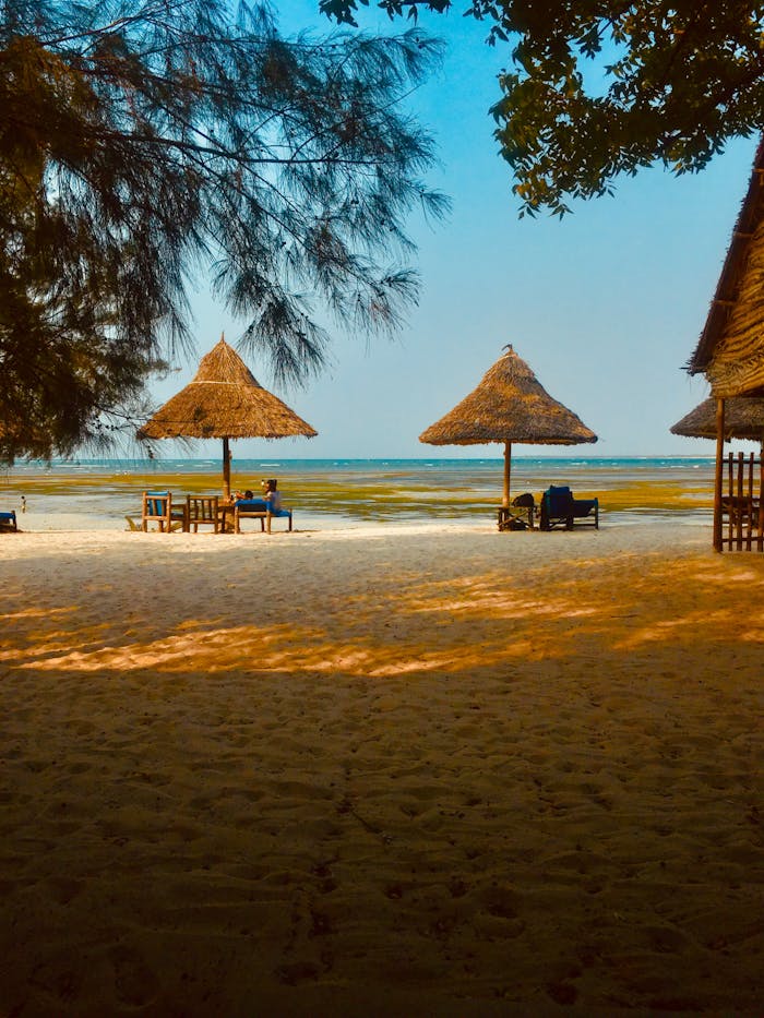 our-services-1 Idyllic beachfront scene in Dar es Salaam, perfect for relaxation and tropical getaways.