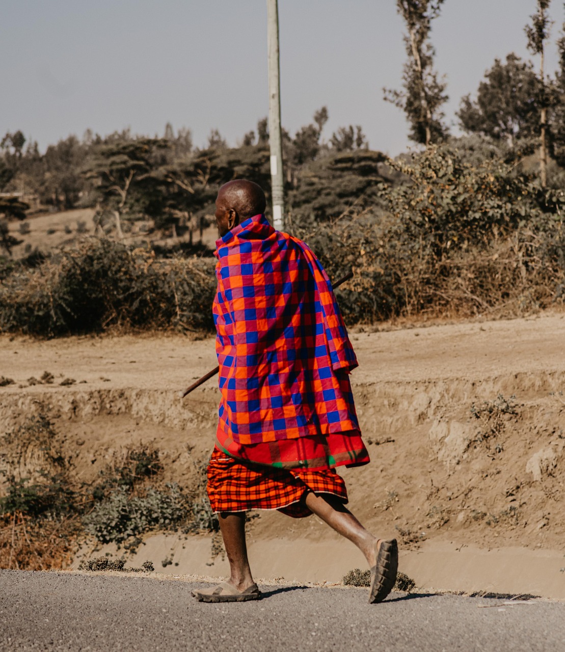 why-choose-us man, masai, nature, tanzania, tribe, walking, africa, culture